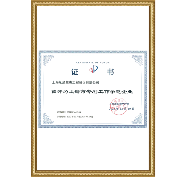  Shanghai Patent Work Demonstration Enterprise November 2022- October 2024